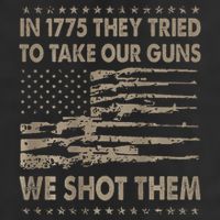 In 1775 They Tried To Take Our Guns We Shot Them Gift 7 Panel Mesh Trucker Snapback Hat
