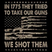 In 1775 They Tried To Take Our Guns We Shot Them Flexfit Unipanel Trucker Cap