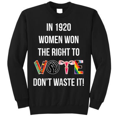 In 1920 Women Won The Right To Vote Don’T Waste It Sweatshirt