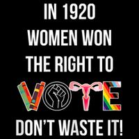 In 1920 Women Won The Right To Vote Don’T Waste It Sweatshirt