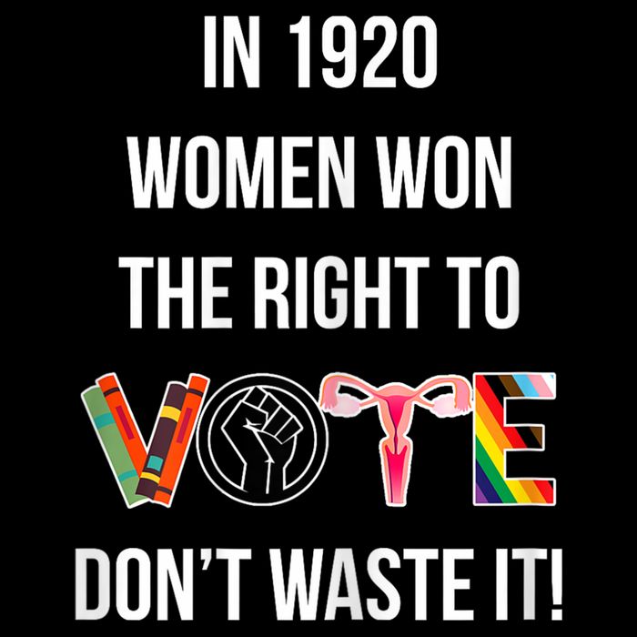 In 1920 Women Won The Right To Vote Don’T Waste It Sweatshirt