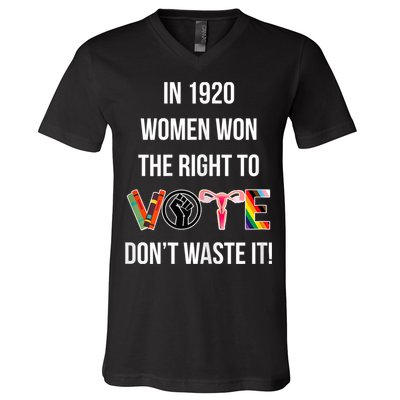 In 1920 Women Won The Right To Vote Don’T Waste It V-Neck T-Shirt