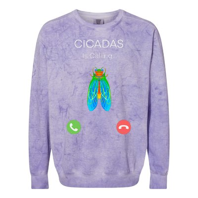 Invasion 2024 Cincadas Is Calling Colorblast Crewneck Sweatshirt