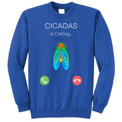 Invasion 2024 Cincadas Is Calling Sweatshirt