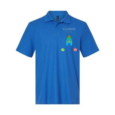 Invasion 2024 Cincadas Is Calling Softstyle Adult Sport Polo