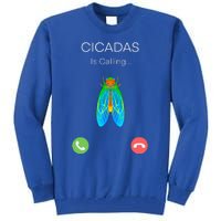 Invasion 2024 Cincadas Is Calling Tall Sweatshirt