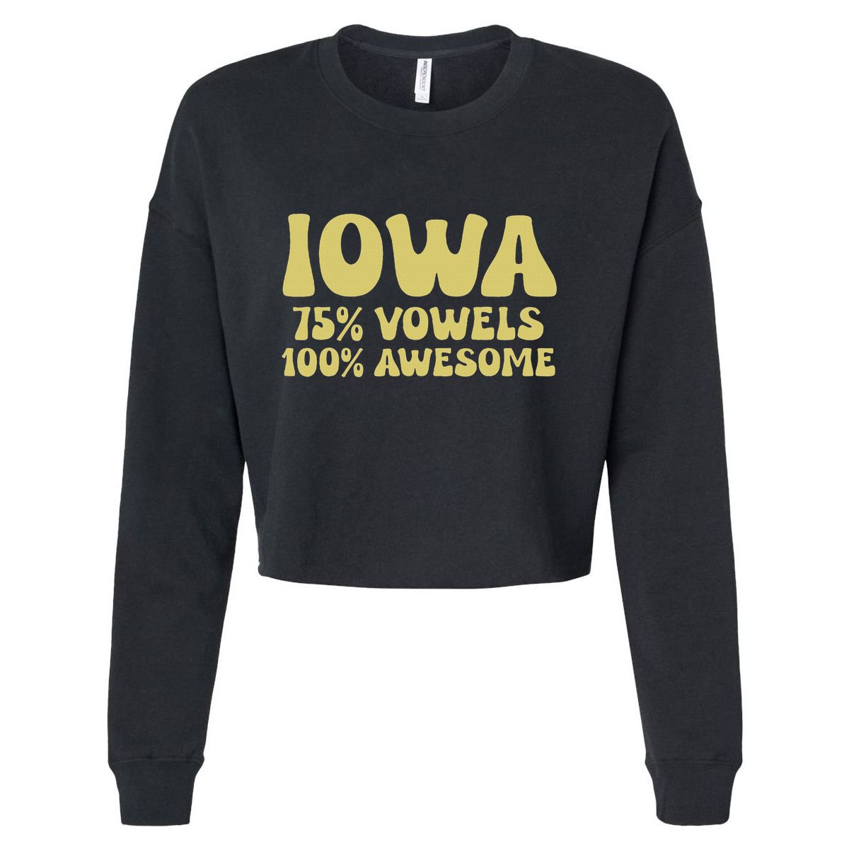 Iowa 75 Vowels 100 Awesome Iowans Women Funny State Cropped Pullover Crew