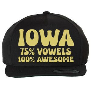 Iowa 75 Vowels 100 Awesome Iowans Women Funny State Wool Snapback Cap