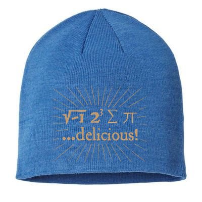 I 8 Sum Pi I Ate Some Pie And It Was Delicious Great Gift Sustainable Beanie