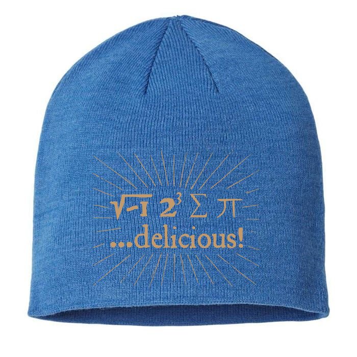 I 8 Sum Pi I Ate Some Pie And It Was Delicious Great Gift Sustainable Beanie