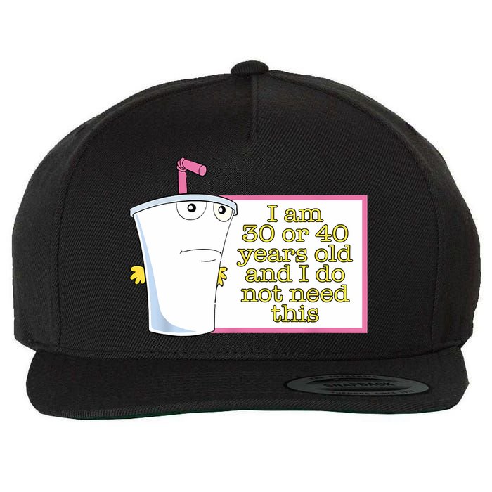 I Am 30 Or 40 Years Old And I Do Not Need This Funny Wool Snapback Cap
