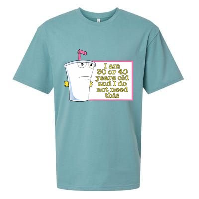I Am 30 Or 40 Years Old And I Do Not Need This Funny Sueded Cloud Jersey T-Shirt