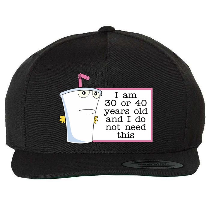 I Am 30 Or 40 Years Old And I Do Not Need This Humor Wool Snapback Cap
