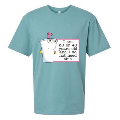 I Am 30 Or 40 Years Old And I Do Not Need This Humor Sueded Cloud Jersey T-Shirt
