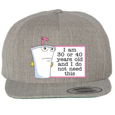 I Am 30 Or 40 Years Old And I Do Not Need This Funny Wool Snapback Cap