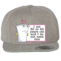 I Am 30 Or 40 Years Old And I Do Not Need This Funny Wool Snapback Cap