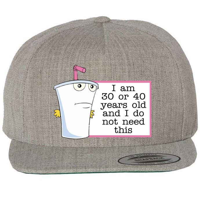I Am 30 Or 40 Years Old And I Do Not Need This Funny Wool Snapback Cap