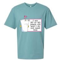 I Am 30 Or 40 Years Old And I Do Not Need This Funny Sueded Cloud Jersey T-Shirt