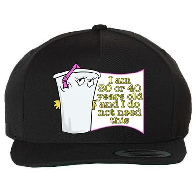 I Am 30 Or 40 Years Old And I Do Not Need This Funny Wool Snapback Cap