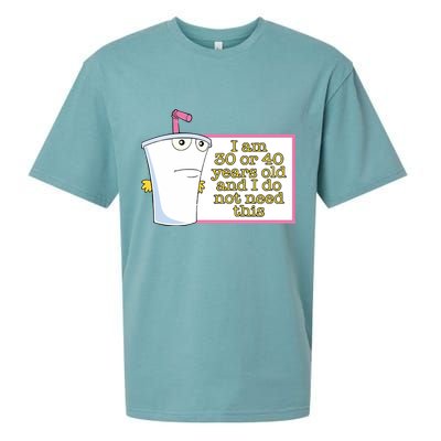 I Am 30 Or 40 Years Old And I Do Not Need This Sueded Cloud Jersey T-Shirt
