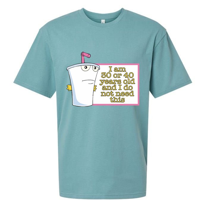 I Am 30 Or 40 Years Old And I Do Not Need This Sueded Cloud Jersey T-Shirt