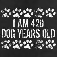I Am 420 Dog Years Old Funny 60th Birthday 7 Panel Mesh Trucker Snapback Hat