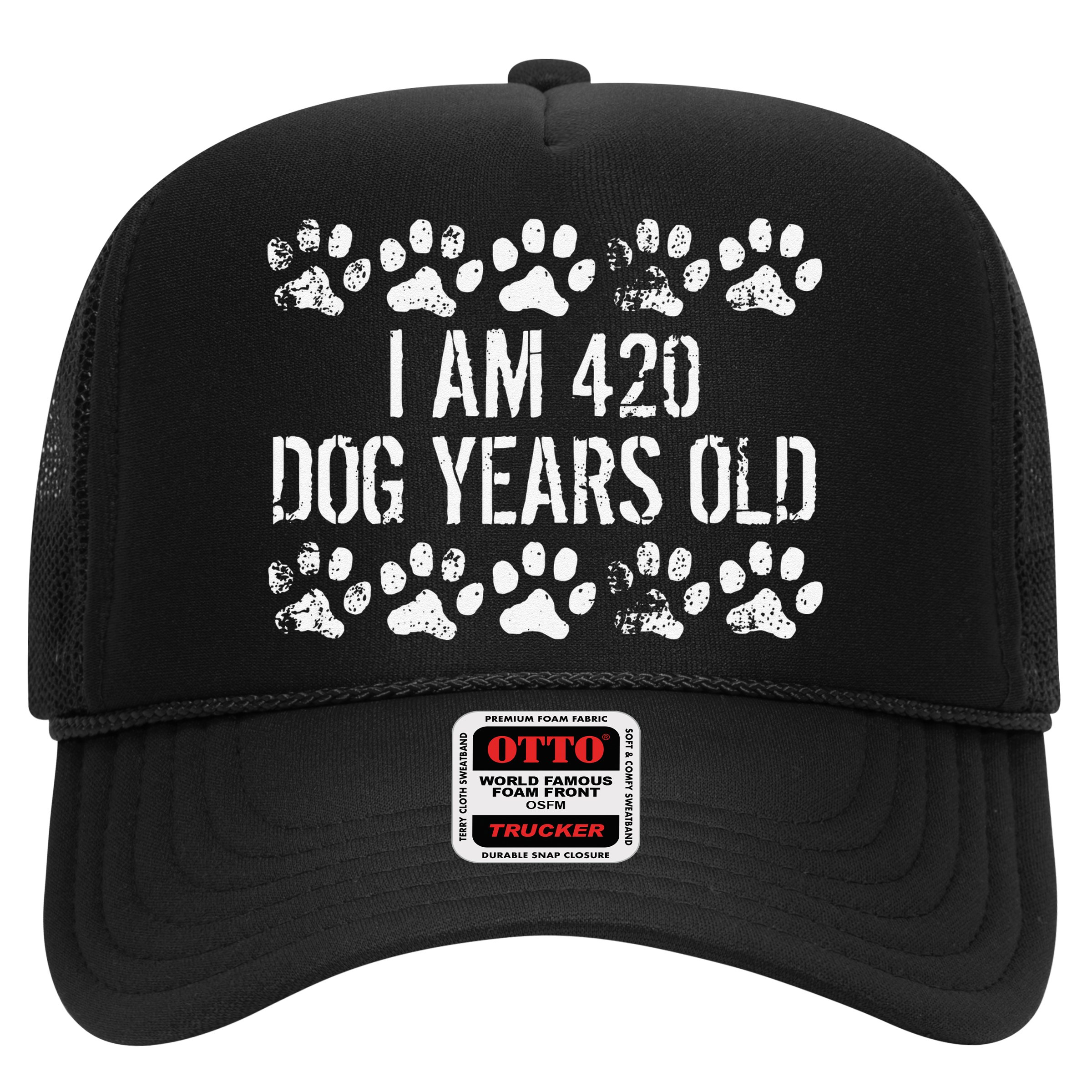 I Am 420 Dog Years Old Funny 60th Birthday Hat
