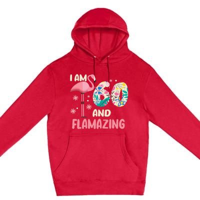 I Am 60 And Flamazing Bithday Flamingo 60th Bday Celebration Premium Pullover Hoodie