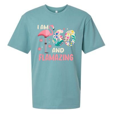 I Am 60 And Flamazing Bithday Flamingo 60th Bday Celebration Sueded Cloud Jersey T-Shirt