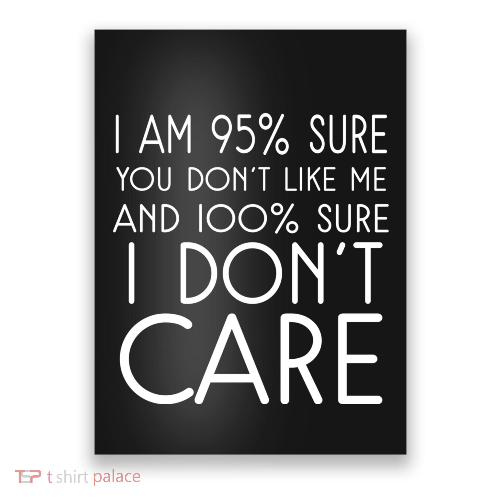 I Am 95% Sure You DonT Like Me 100% And Sure I DonT Care Poster
