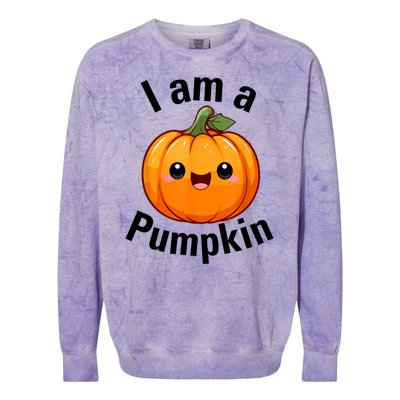 I Am A Pumpkin With Cute Little Pumpkin Colorblast Crewneck Sweatshirt