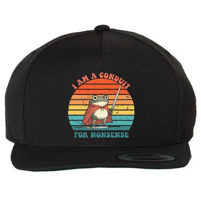 I Am A Conduit For Nonsense Design Gift Wool Snapback Cap