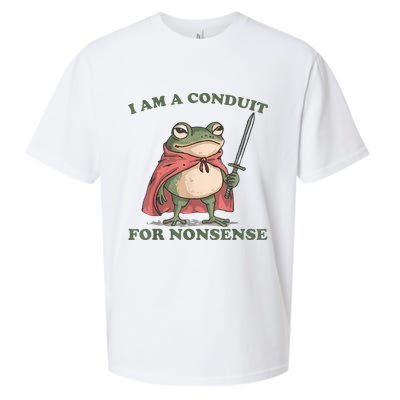 I Am A Conduit For Nonsense Funny Frog Sueded Cloud Jersey T-Shirt