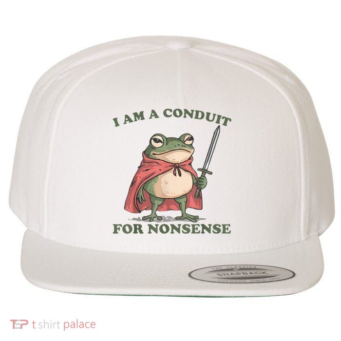 I Am A Conduit For Nonsense Funny Frog Wool Snapback Cap