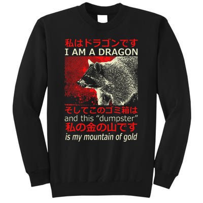 I Am A Dragon Raccoon Japanese Anime Sweatshirt