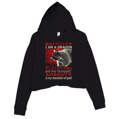 I Am A Dragon Raccoon Japanese Anime Crop Fleece Hoodie