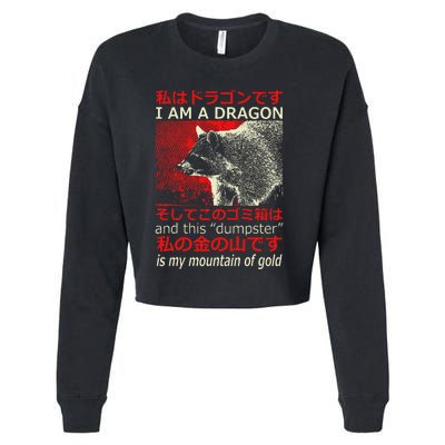 I Am A Dragon Raccoon Japanese Anime Cropped Pullover Crew