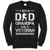 I Am A Dad Grandpa And Veteran Nothing Scares Me Tall Sweatshirt