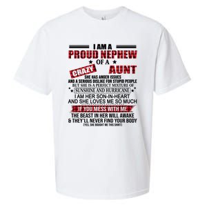 I Am A Proud Nephew Of A Crazy Aunt Funny Nephew And Aunt Funny Gift Sueded Cloud Jersey T-Shirt