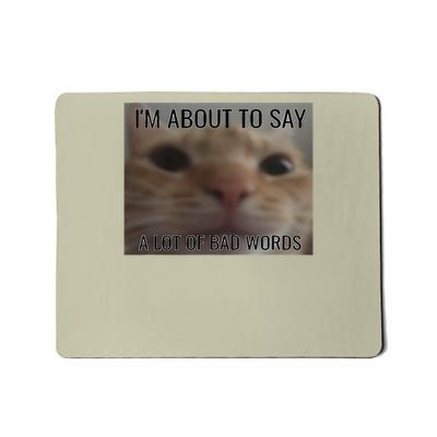 I Am About To Say Bad Words Cat Oddly Specific Meme Joke Mousepad