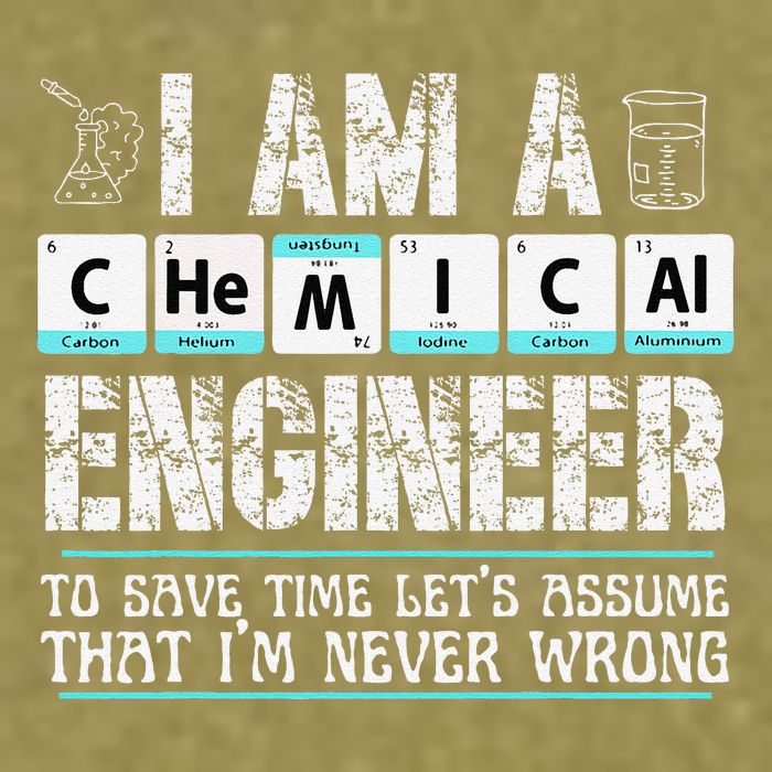 I Am A Chemical Engineer To Save Time LetS Assume Garment-Dyed Women's Muscle Tee