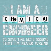 I Am A Chemical Engineer To Save Time LetS Assume Sueded Cloud Jersey T-Shirt