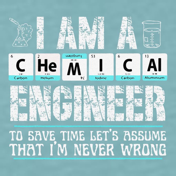 I Am A Chemical Engineer To Save Time LetS Assume Sueded Cloud Jersey T-Shirt