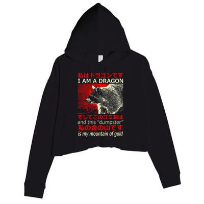 I Am A Dragon Raccoon Japanese Crop Fleece Hoodie