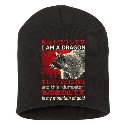 I Am A Dragon Raccoon Japanese Short Acrylic Beanie