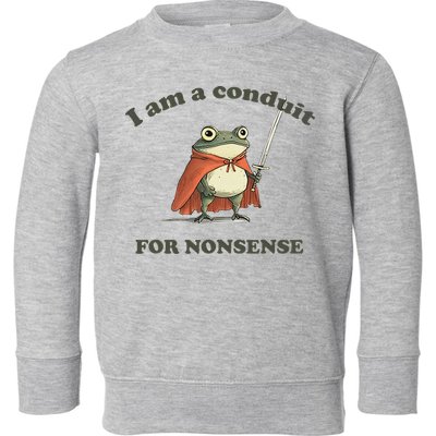 I Am A Conduit For Nonsense Funny Frog Toddler Sweatshirt