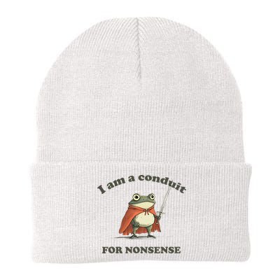 I Am A Conduit For Nonsense Funny Frog Beanie