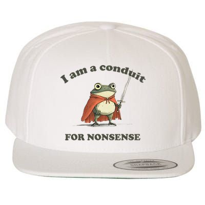 I Am A Conduit For Nonsense Funny Frog Wool Snapback Cap