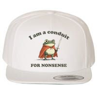 I Am A Conduit For Nonsense Funny Frog Wool Snapback Cap