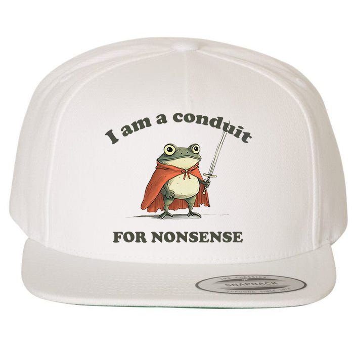 I Am A Conduit For Nonsense Funny Frog Wool Snapback Cap